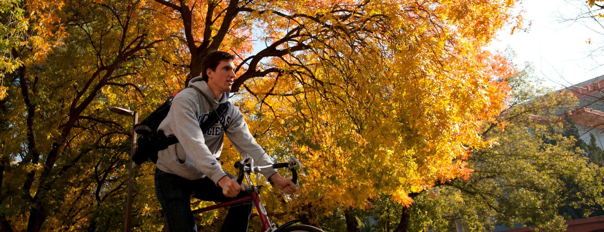 A male student rides his bicycle under the Fall foliage on the 澳门六合彩开奖结果走势图 campus