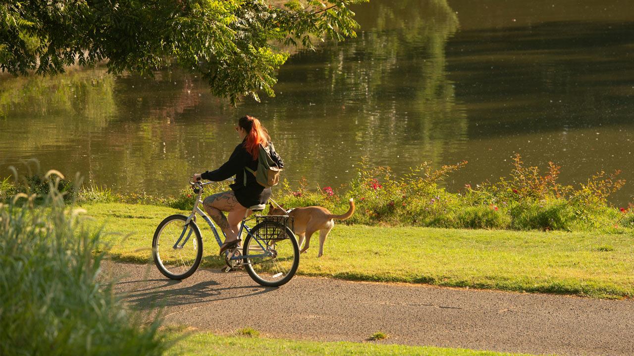 A student rides her bike through the 澳门六合彩开奖结果走势图 Arboretum while her dog jogs alongside.